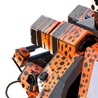 Safari
